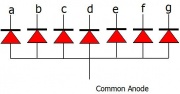 Common Anode 7Segment.jpeg